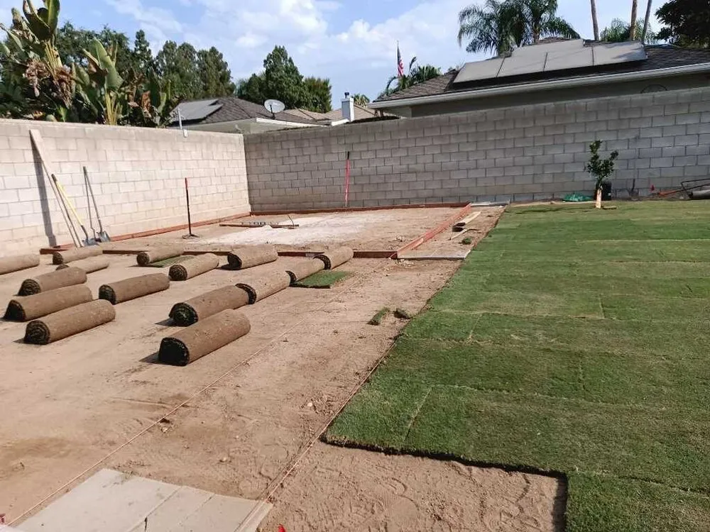 Affordable lawn care service near you in Bakersfield, CA by Angel Soto Landscaping