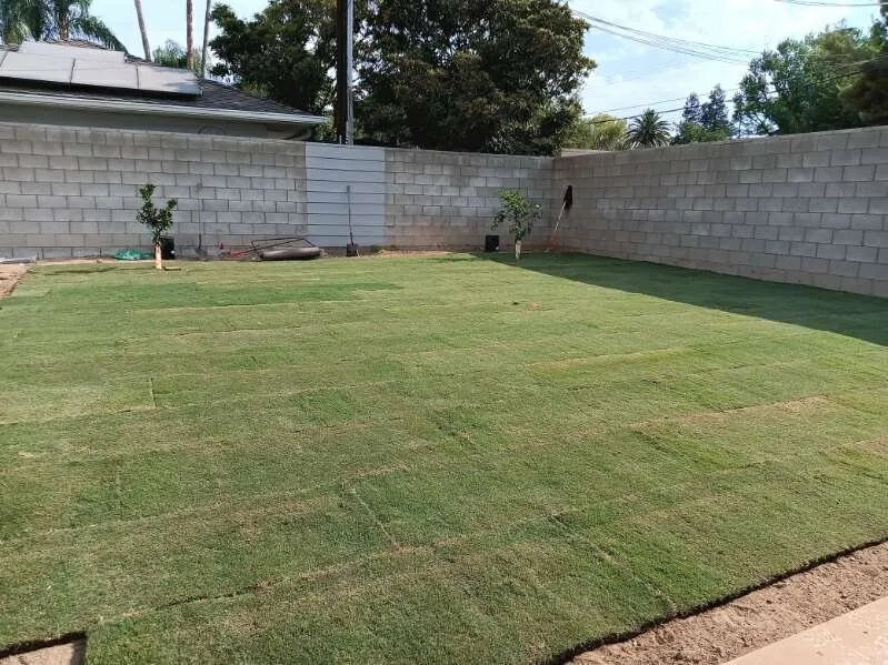 Professional lawn care service in Bakersfield, CA by Angel Soto Landscaping