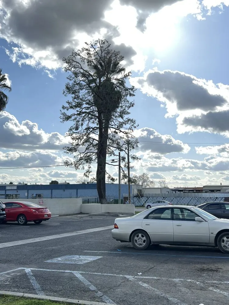 Professional outdoor landscaping in Bakersfield, CA - Angel Soto Landscaping