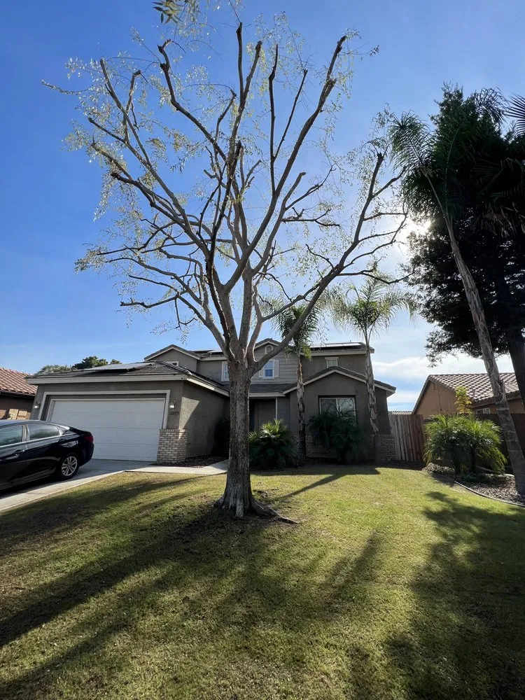 Local landscape design in Bakersfield, CA - Angel Soto Landscaping