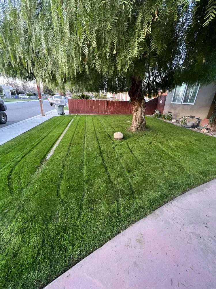 Custom landscape installation in Bakersfield, CA - Angel Soto Landscaping