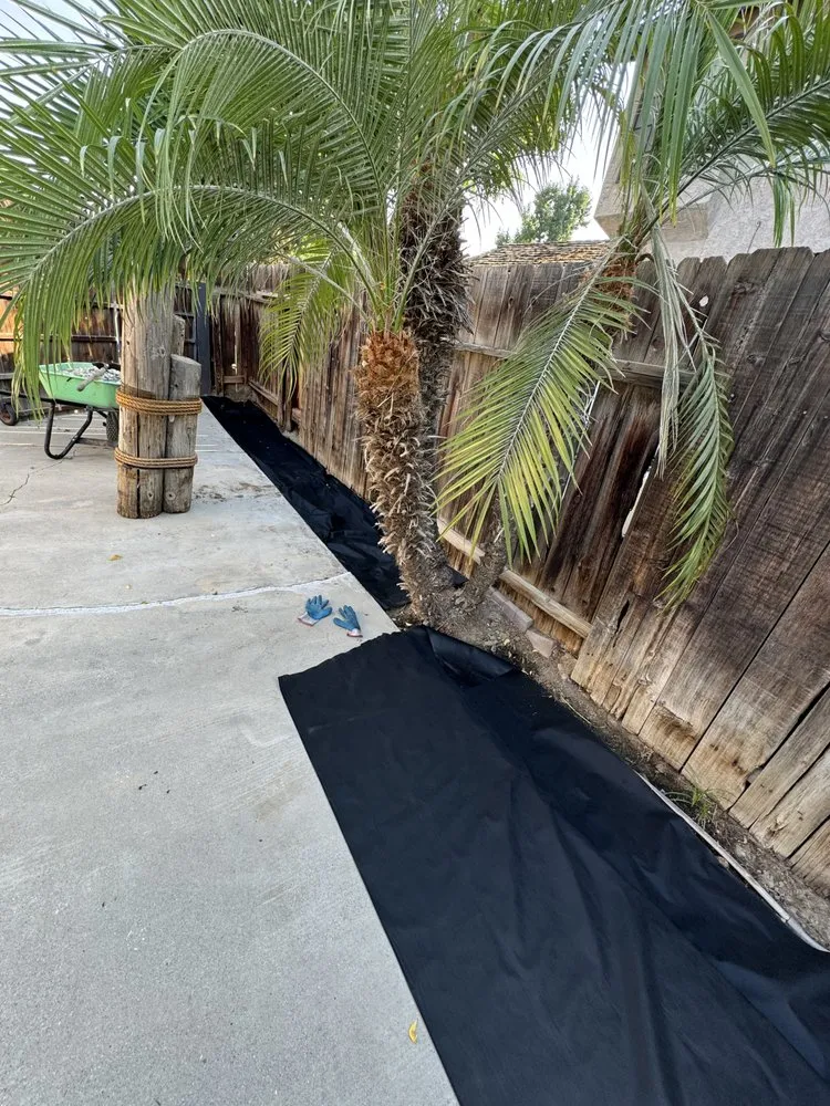 Affordable landscaping services with custom design in Bakersfield, CA by Angel Soto Landscaping