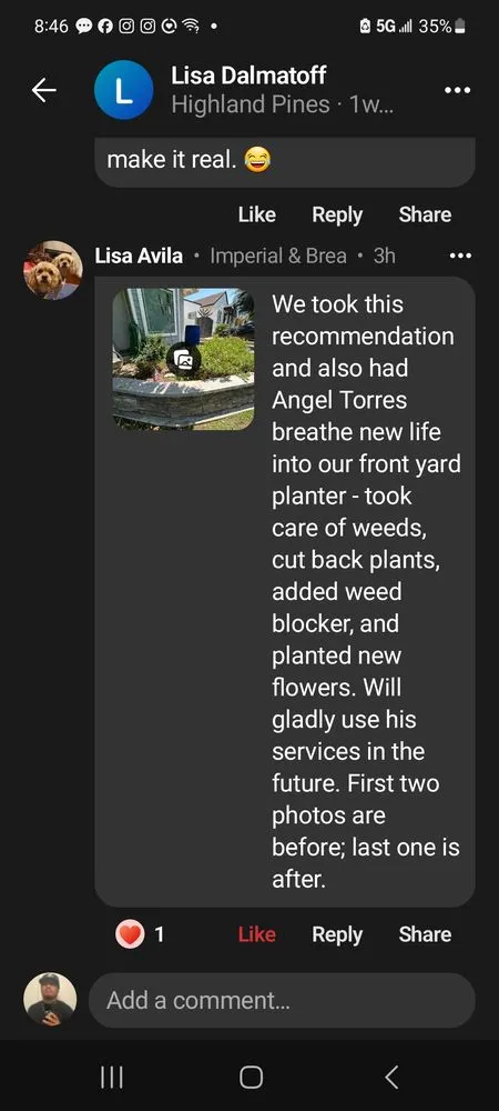 Affordable garden landscaping near you across La Habra, CA - Angel Torres Landscape