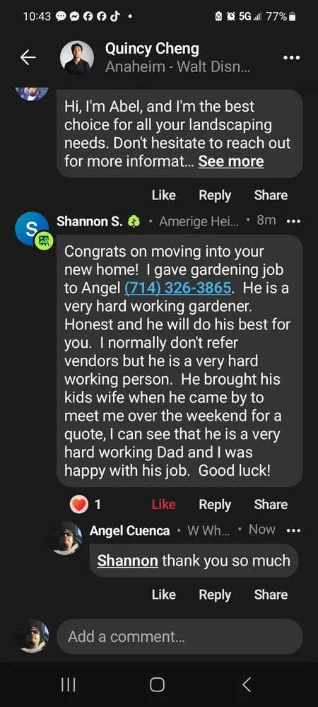 Reliable yard maintenance for homes in La Habra, CA by Angel Torres Landscape