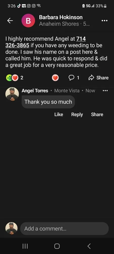 Top-rated lawn care service for homes in La Habra, CA by Angel Torres Landscape