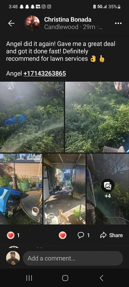 Top-rated landscape installation near you across La Habra, CA - Angel Torres Landscape