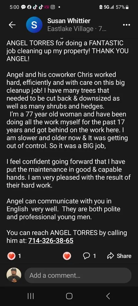 Custom yard cleanup service with custom design across La Habra, CA - Angel Torres Landscape