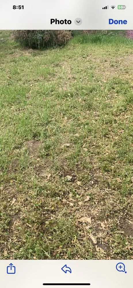 Reliable lawn mowing service experts serving La Habra, CA - Angel Torres Landscape