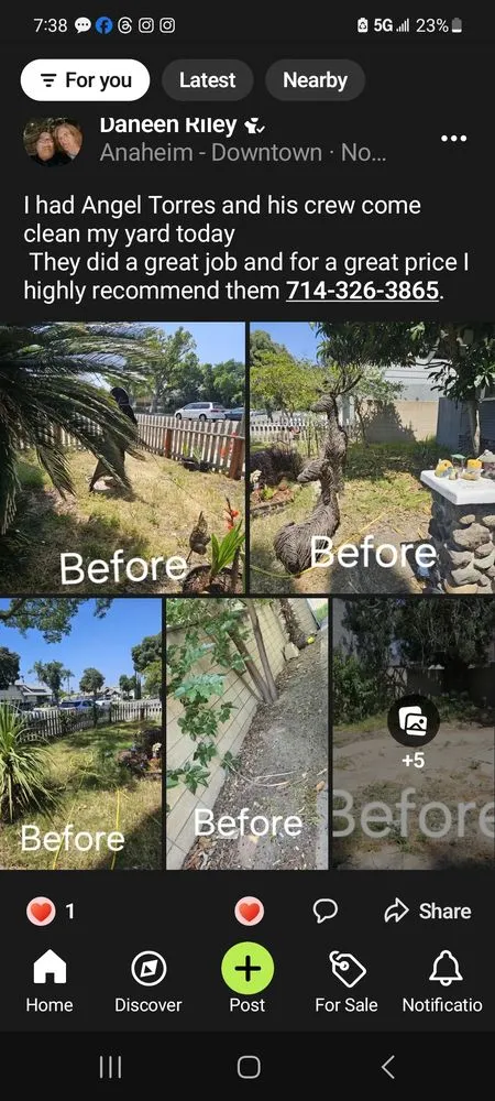 Custom lawn care service in La Habra, CA - Angel Torres Landscape