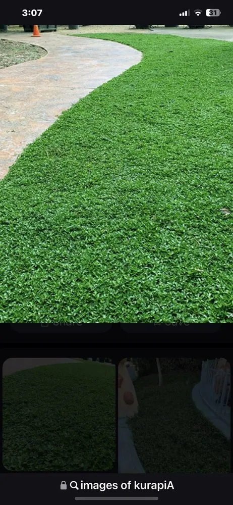 Trusted lawn mowing service in La Habra, CA by Angel Torres Landscape