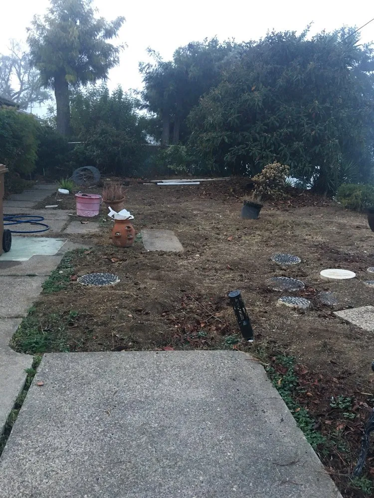 Trusted landscaping services for residential properties across La Habra, CA - Angel Torres Landscape