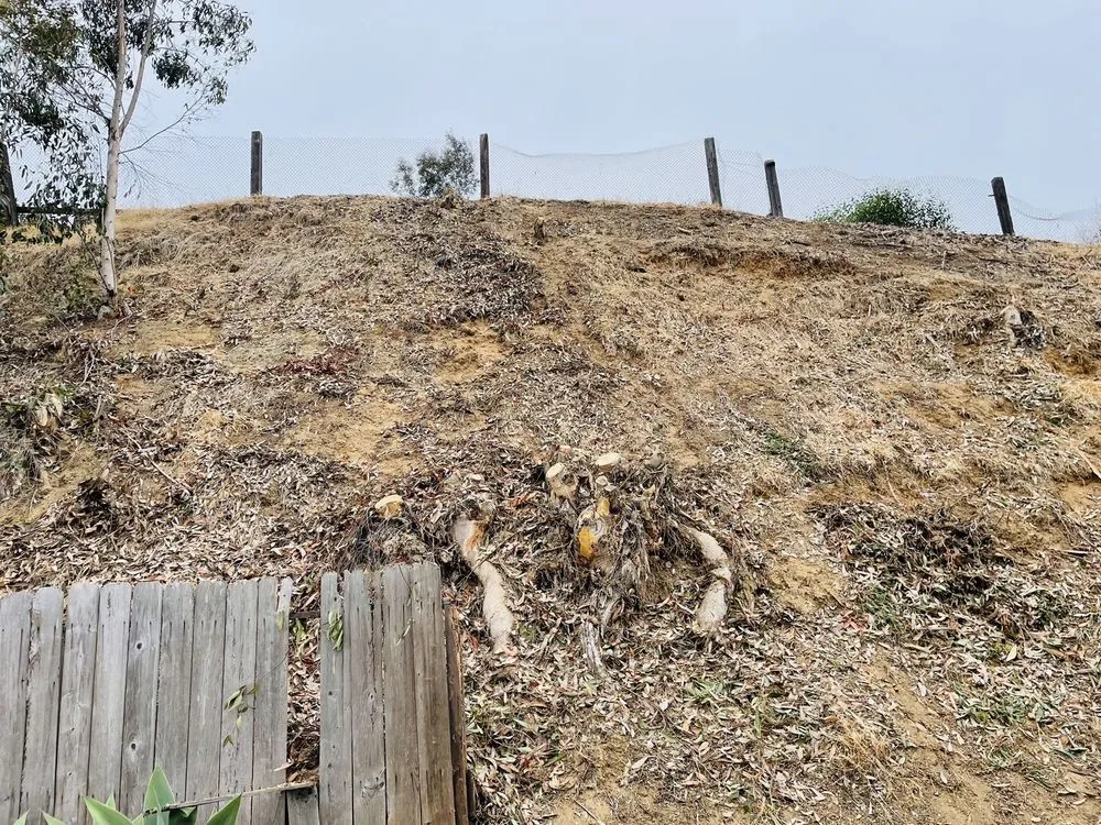 Expert garden landscaping with custom design in Vista, CA by Angel Tree Care