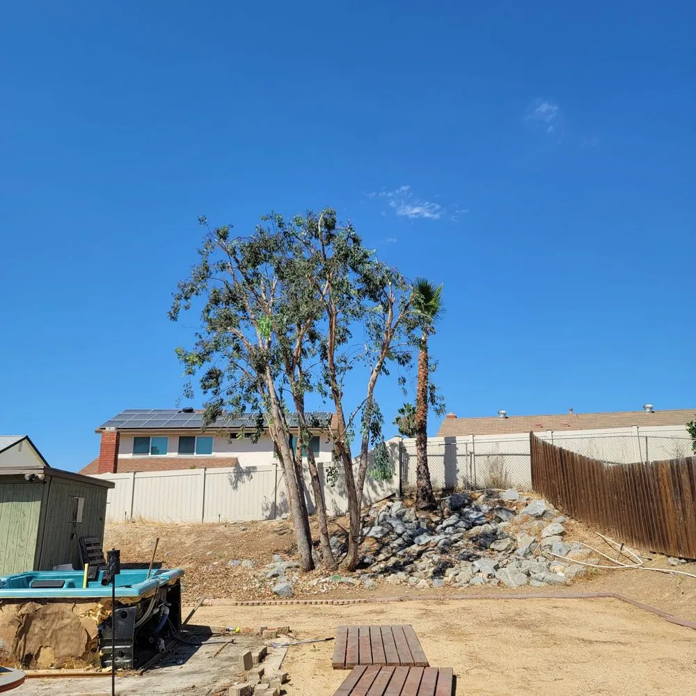 Affordable garden landscaping for beautiful yards across Vista, CA - Angel Tree Care