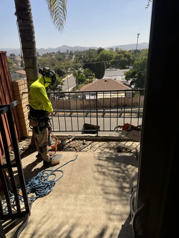 Reliable yard cleanup service near you across Vista, CA - Angel Tree Care