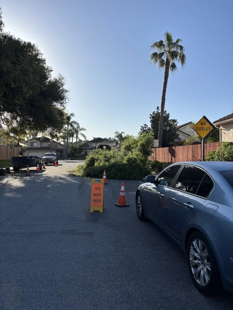 Local landscape installation in Vista, CA - Angel Tree Care