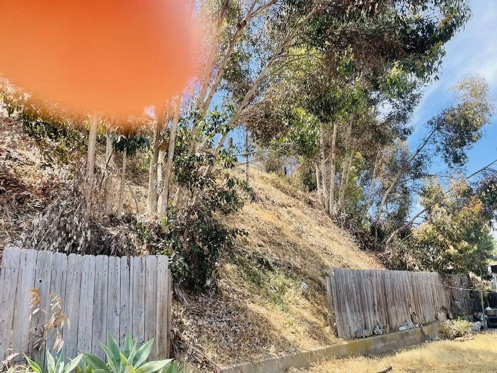 Reliable landscaping services in Vista, CA - Angel Tree Care