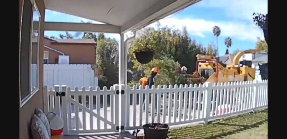 Reliable lawn care service near you in Vista, CA by Angel Tree Care