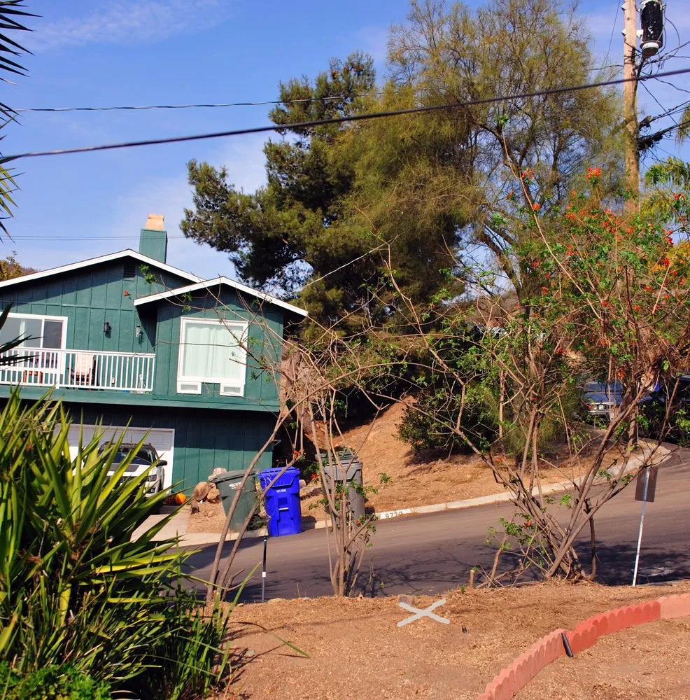 Top-rated landscape design for year-round maintenance in Vista, CA by Angel Tree Care