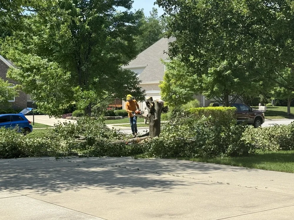 Affordable garden landscaping in Indianapolis, IN by Angel Tree Removal