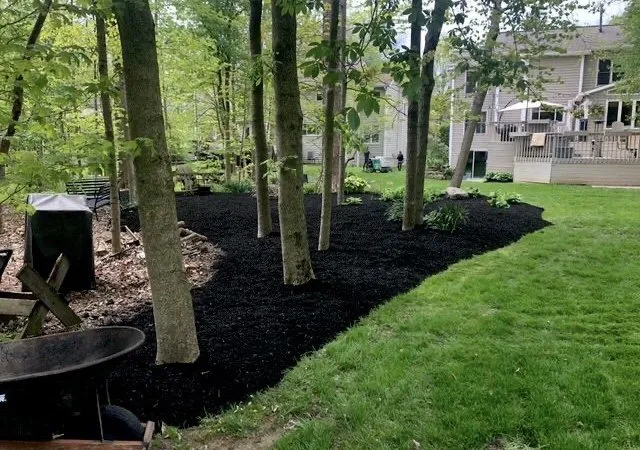 Professional landscape design for outdoor upgrades across Indianapolis, IN - Angel Tree Removal