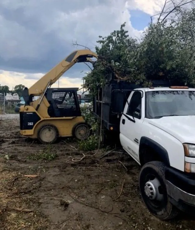 Top-rated landscape design experts serving Indianapolis, IN - Angel Tree Removal