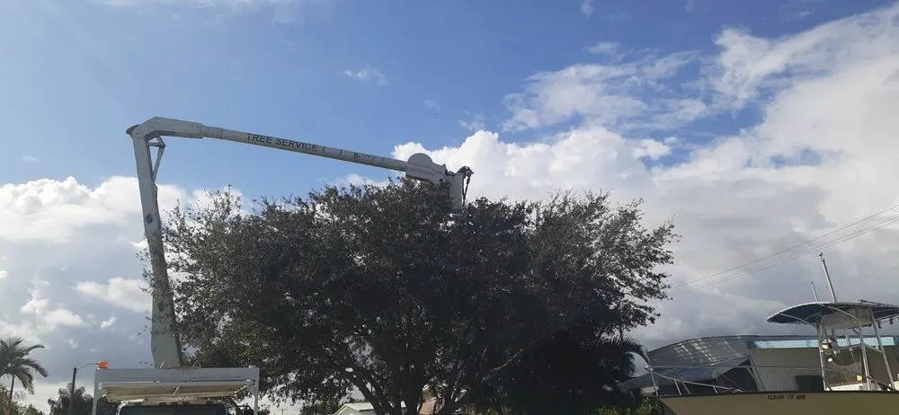 Custom garden landscaping for beautiful yards across Indiantown, FL - Angel Tree Service and Landscaping