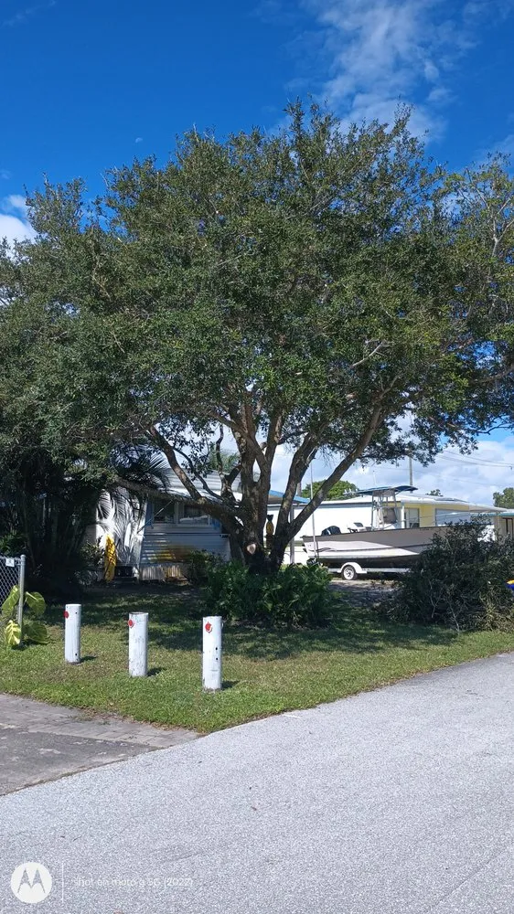 Custom yard cleanup service in Indiantown, FL - Angel Tree Service and Landscaping