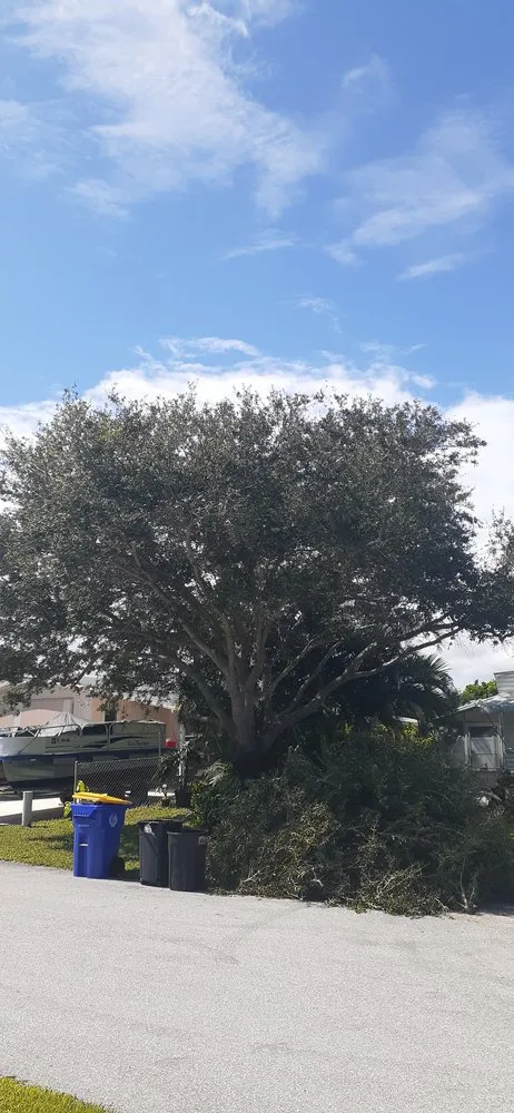 Expert landscape design for year-round maintenance in Indiantown, FL by Angel Tree Service and Landscaping