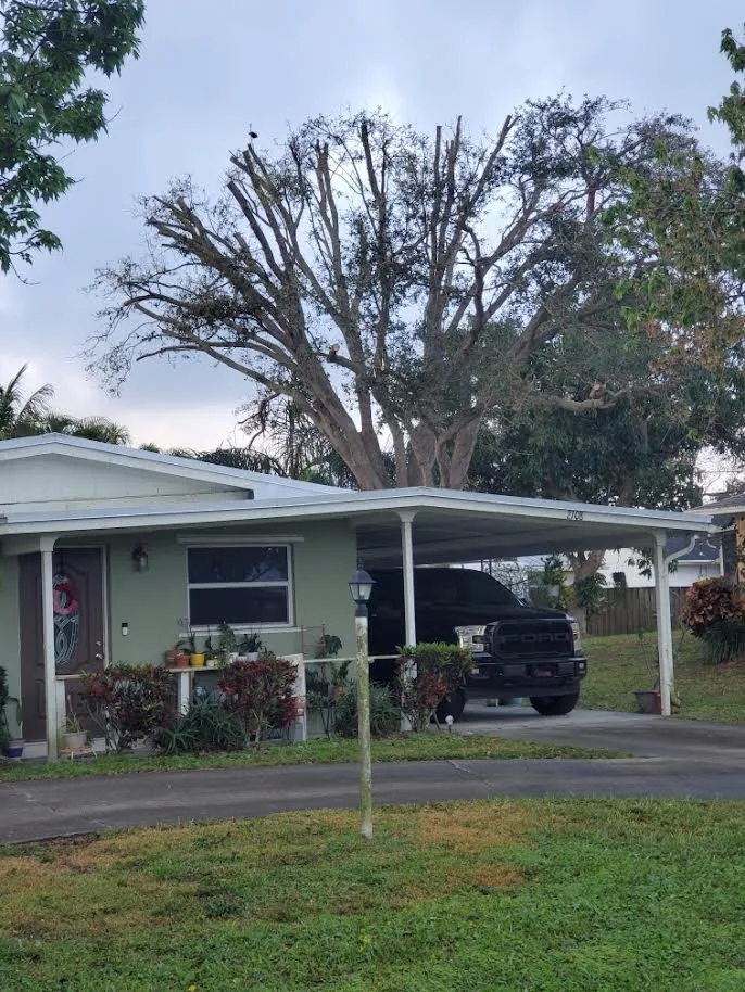 Expert lawn care service for homes across Indiantown, FL - Angel Tree Service and Landscaping