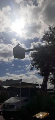 Angel Tree Service and Landscaping