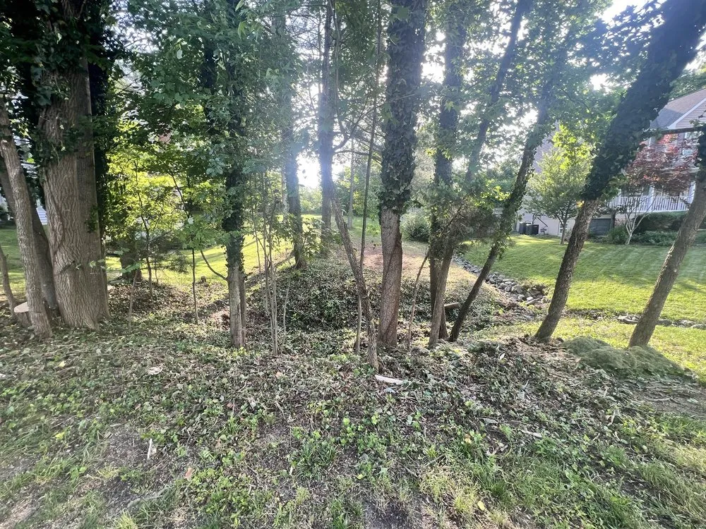 Top-rated landscape installation experts serving Fredericksburg, VA - Angel Tree Services