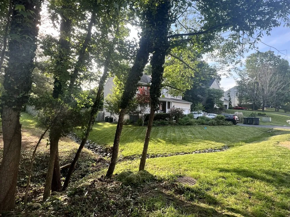 Custom landscape installation for beautiful yards across Fredericksburg, VA - Angel Tree Services