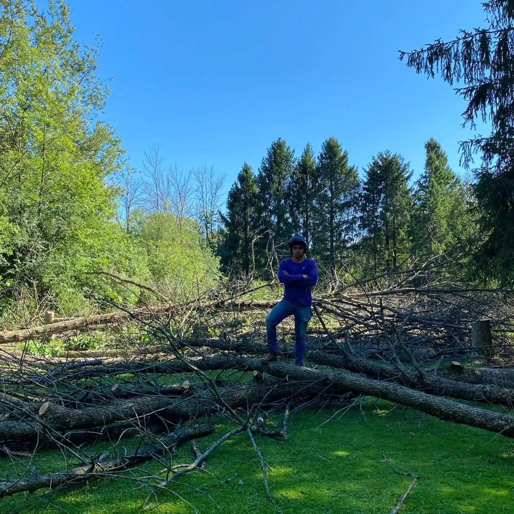 Reliable yard maintenance in Milwaukee, WI by Angel Tree Solutions