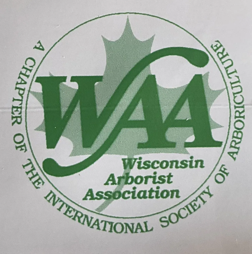 Top-rated outdoor landscaping in Milwaukee, WI by Angel Tree Solutions