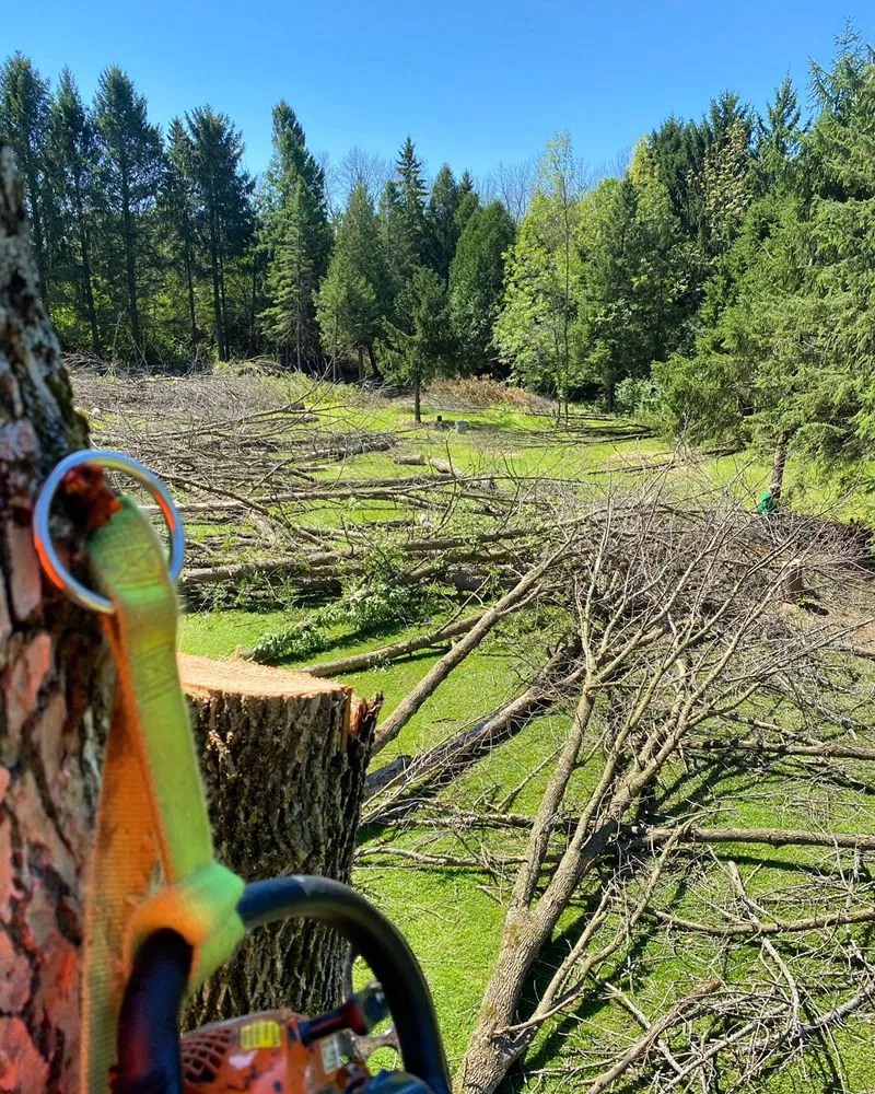 Expert landscape design in Milwaukee, WI by Angel Tree Solutions