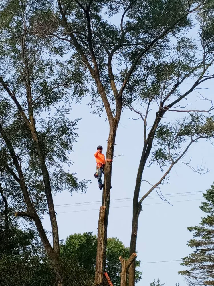 Local outdoor landscaping with custom design across Milwaukee, WI - Angel Tree Solutions