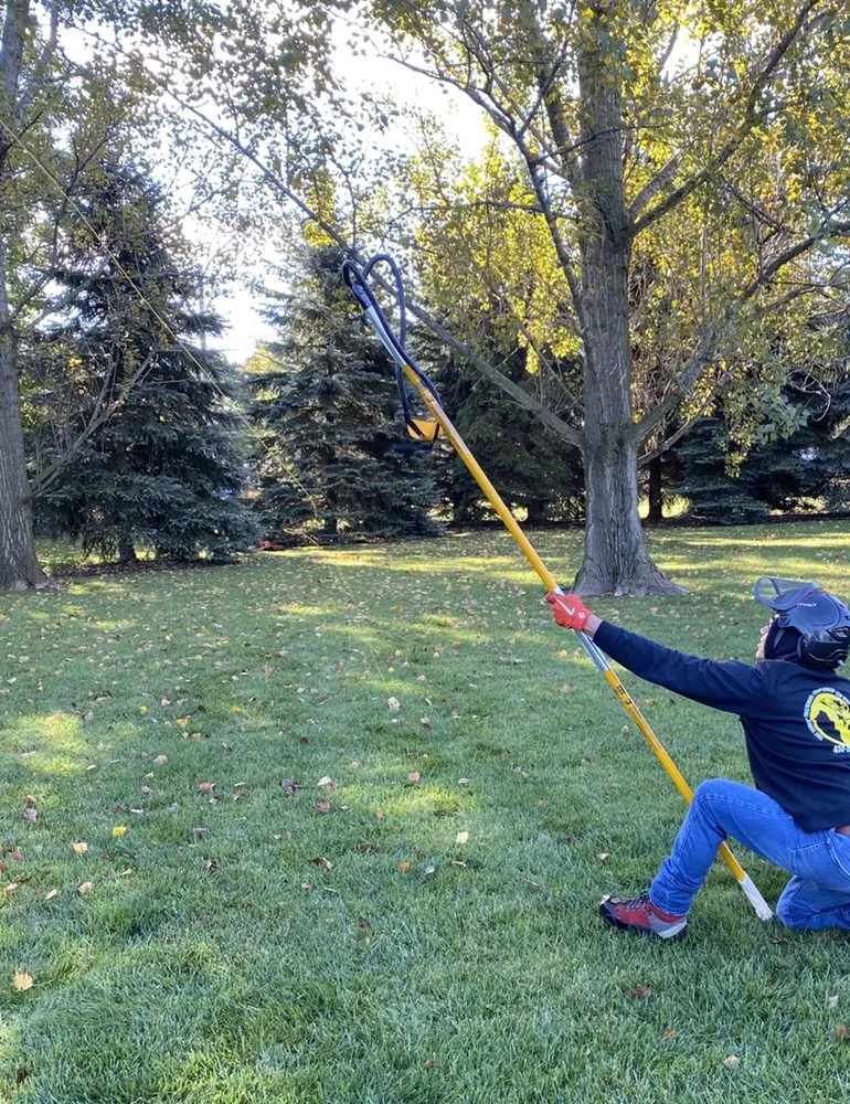 Professional yard cleanup service for year-round maintenance in Milwaukee, WI by Angel Tree Solutions