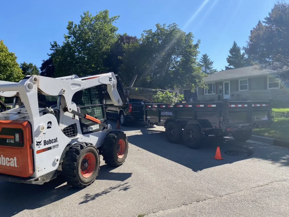 Expert lawn care service in Milwaukee, WI - Angel Tree Solutions