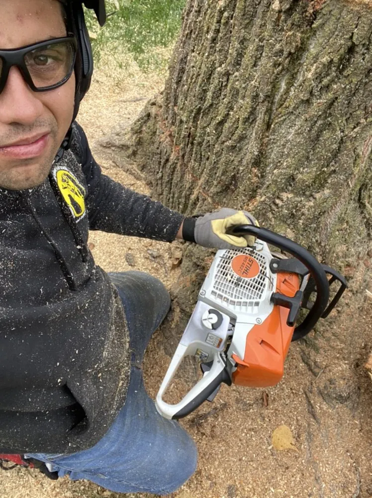 Local lawn care service in Milwaukee, WI - Angel Tree Solutions