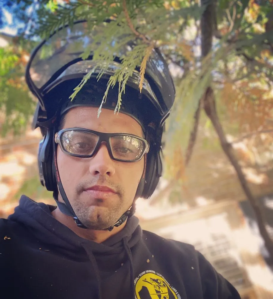 Top-rated landscape installation in Milwaukee, WI - Angel Tree Solutions