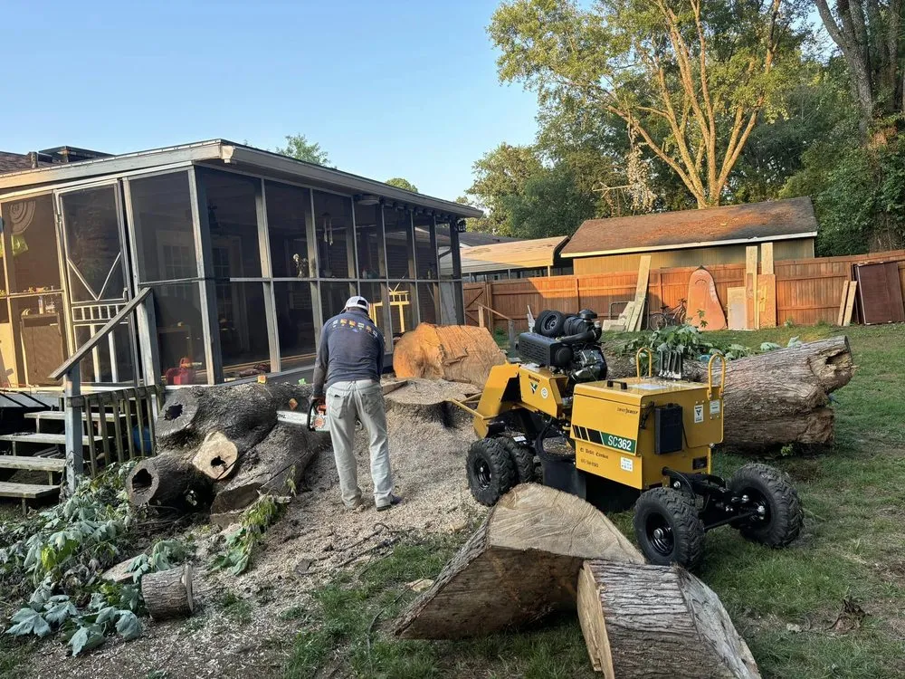 Local lawn care service for year-round maintenance across Murfreesboro, TN - Angel Tree Stump Cutter Service & Trimming