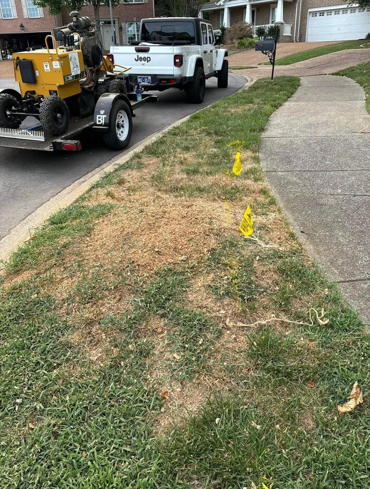 Expert landscaping services experts serving Murfreesboro, TN - Angel Tree Stump Cutter Service & Trimming