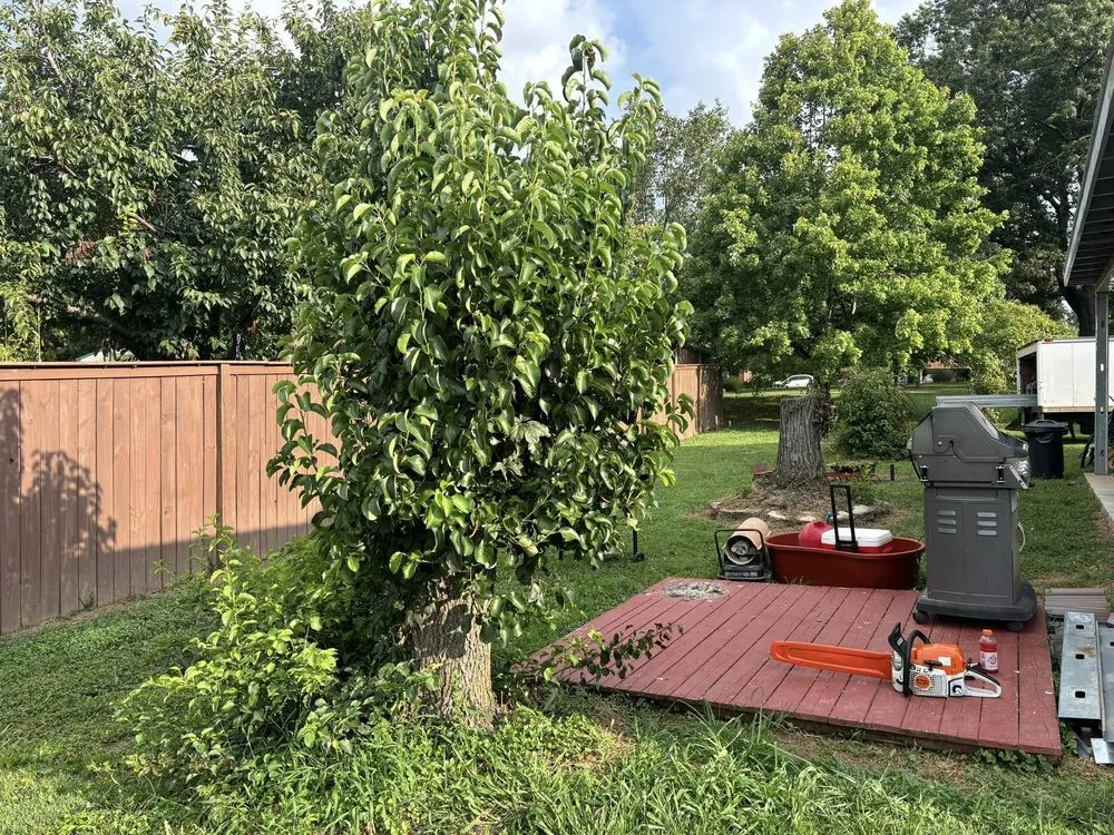 Custom residential landscaping for outdoor upgrades in Murfreesboro, TN by Angel Tree Stump Cutter Service & Trimming