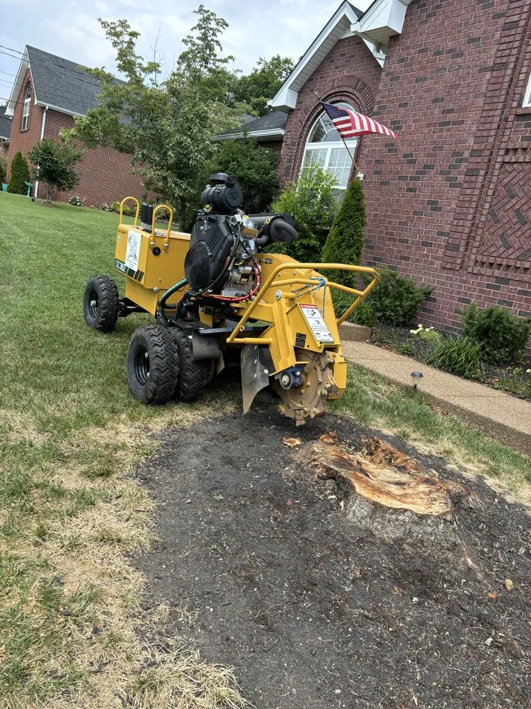 Custom outdoor landscaping in Murfreesboro, TN by Angel Tree Stump Cutter Service & Trimming