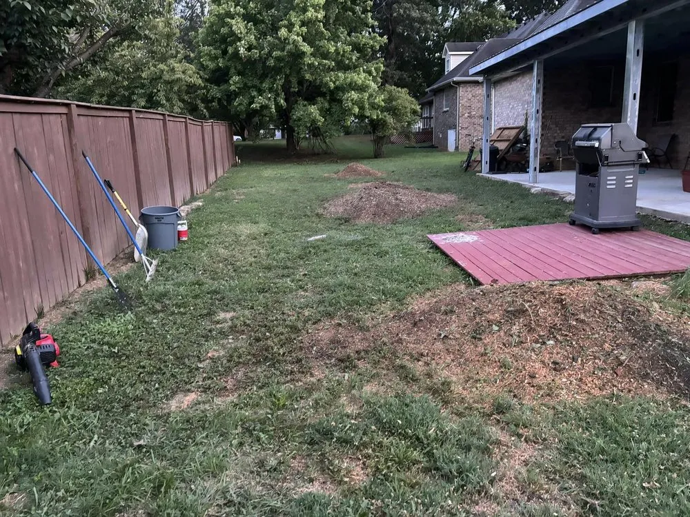 Professional yard maintenance experts serving Murfreesboro, TN - Angel Tree Stump Cutter Service & Trimming