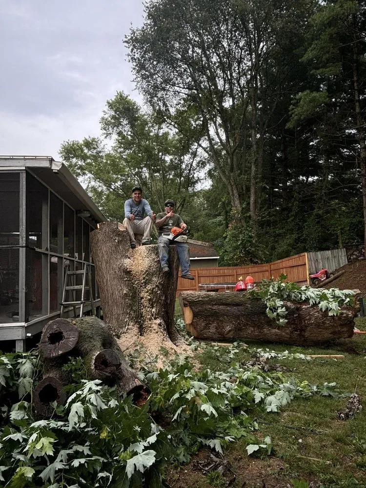 Custom lawn mowing service for homes across Murfreesboro, TN - Angel Tree Stump Cutter Service & Trimming