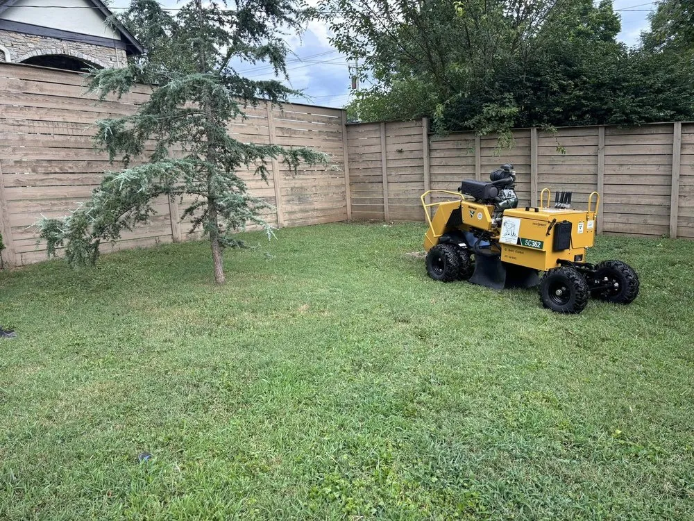 Top-rated garden landscaping for year-round maintenance in Murfreesboro, TN by Angel Tree Stump Cutter Service & Trimming