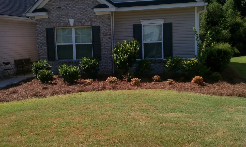 Professional outdoor landscaping in Monroe, GA by Angel Turf Lawn Care