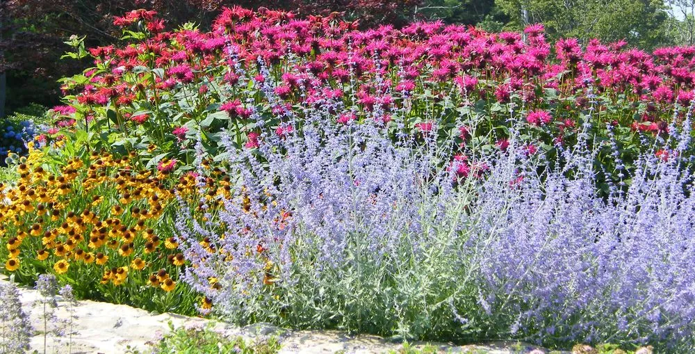 Expert lawn mowing service for residential properties across Falmouth, MA - Angela Rose Gardens