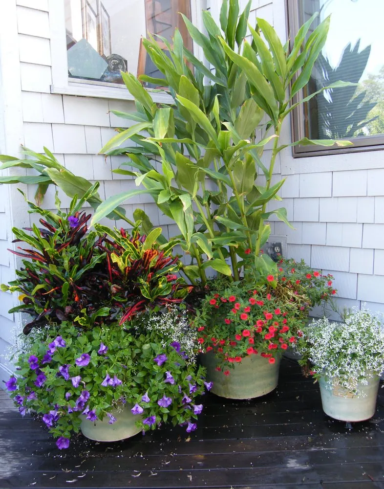 Trusted lawn care service in Falmouth, MA - Angela Rose Gardens